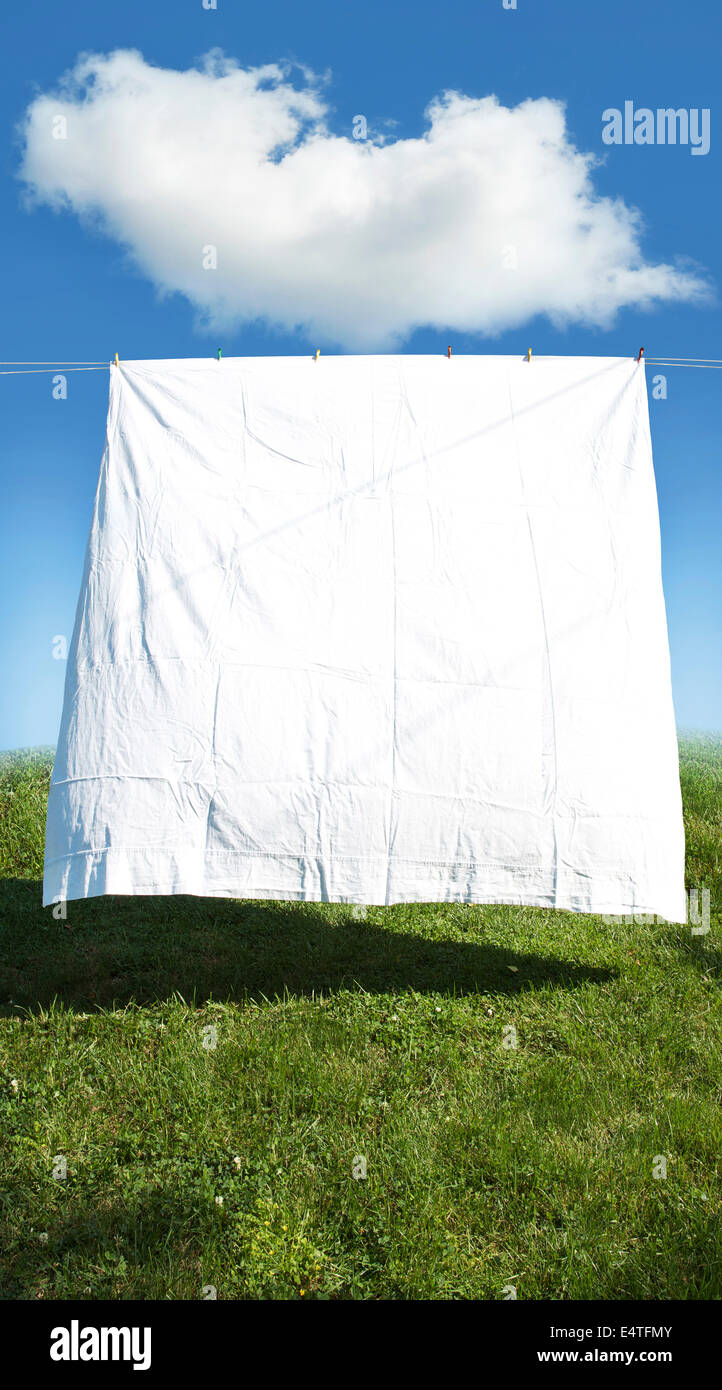 Feuille blanche propre hanging on clothes line in field, Canada Banque D'Images