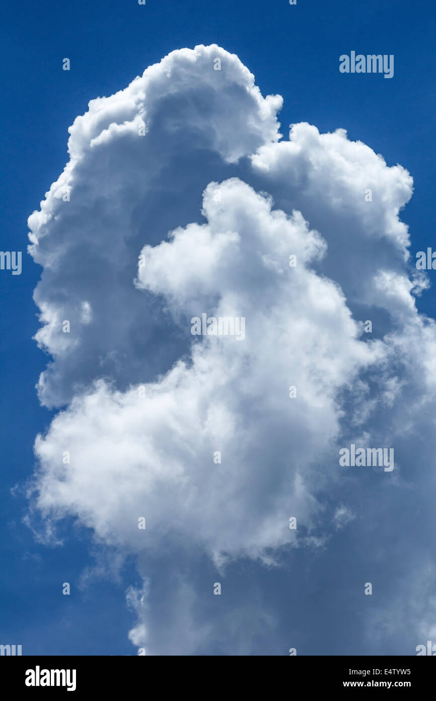 Beau cumulonimbus Banque D'Images