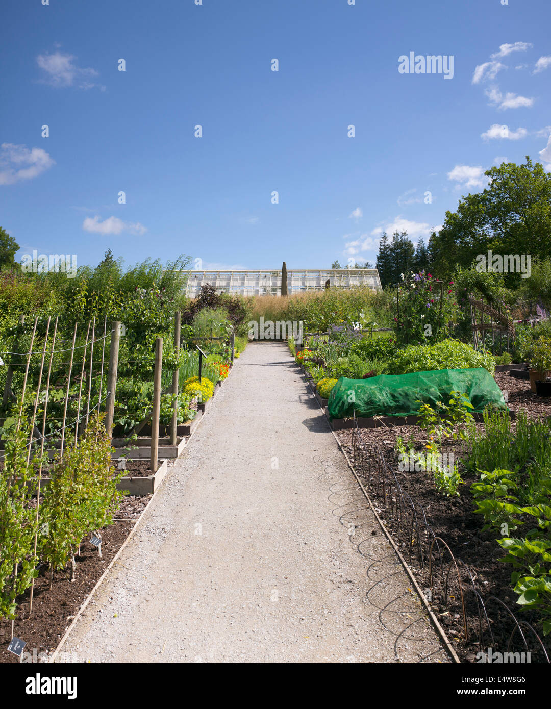 Des jardins de légumes à Harlow Carr de l'ERS. Harrogate, England Banque D'Images
