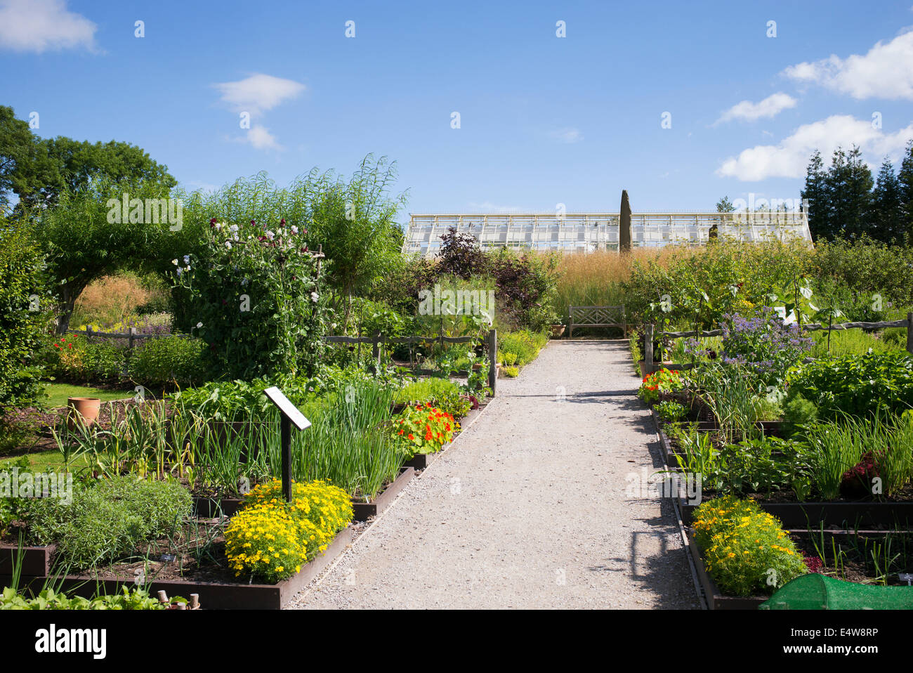 Des jardins de légumes à Harlow Carr de l'ERS. Harrogate, England Banque D'Images