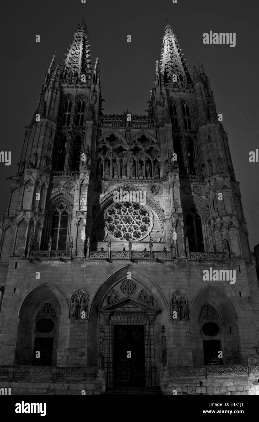 La grande marche de Saint James, Jakobsweg, Camino de Santiago, Espagne, noir et blanc Banque D'Images