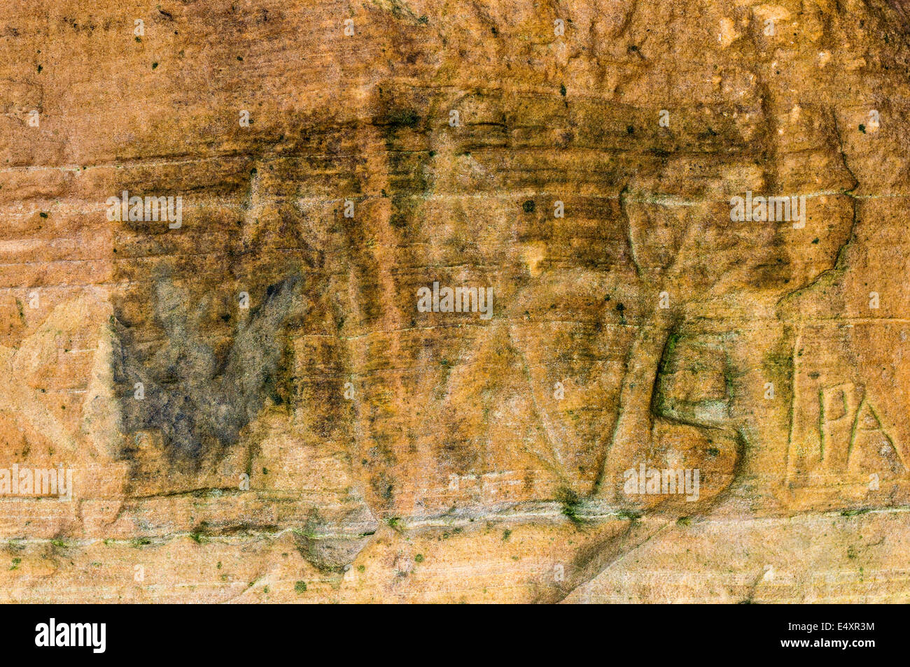 À PARTIR DE SYMBOLES PICTES AD 500 SCULPTÉE DANS LES MURS DE GRÈS DANS LA GROTTE PRÈS DE SCULPTEURS HOPEMAN SUR LA CÔTE DE Moray en Écosse Banque D'Images