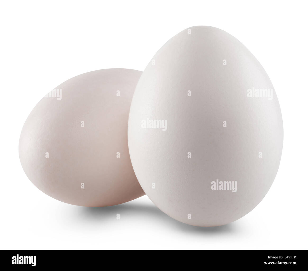 Oeuf blanc isolé sur fond blanc. Clipping Path Banque D'Images