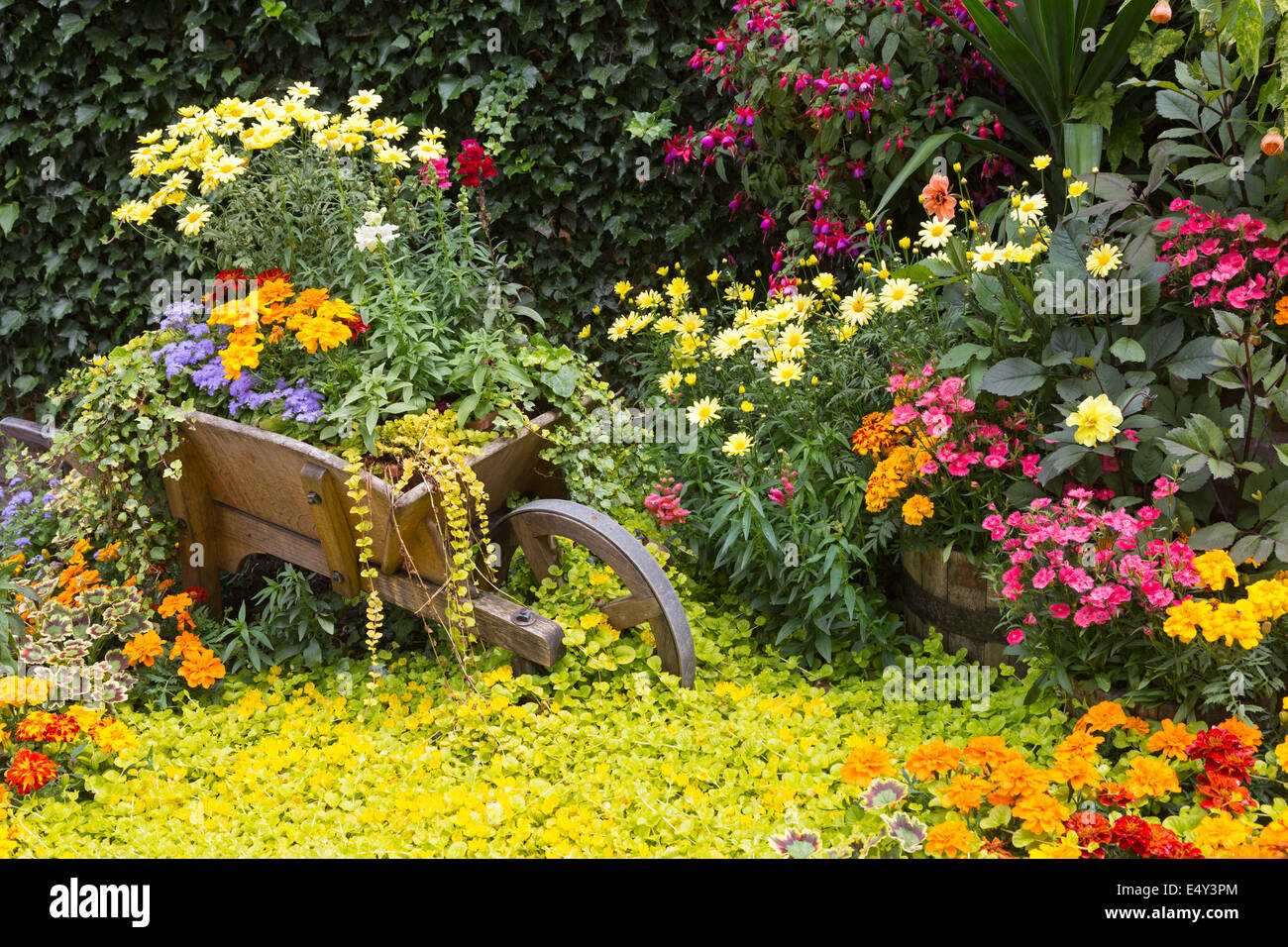 Détail du jardin y compris une brouette dans le jardin public à Pollok House, Glasgow, Glasgow, Écosse, Royaume-Uni Banque D'Images