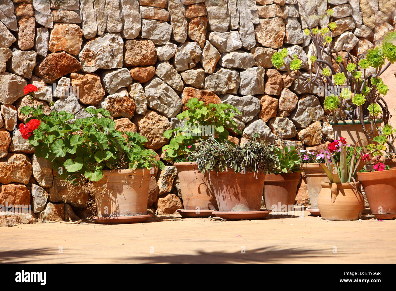 Plantes en pot en face d'un mur de pierre Banque D'Images