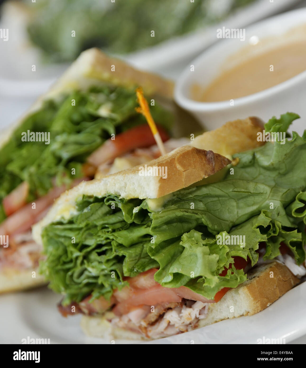 La Turquie Lunch Sandwiches Banque D'Images