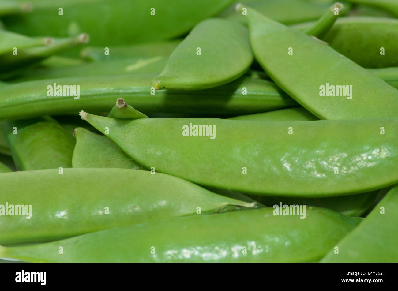 Succulentes vert pois sugar snap pour le dîner. Banque D'Images