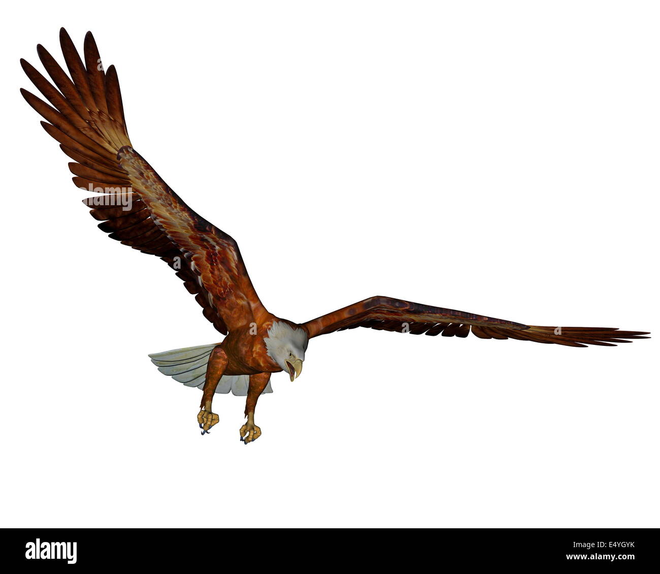 L'aigle chauve américain - 3D render Banque D'Images