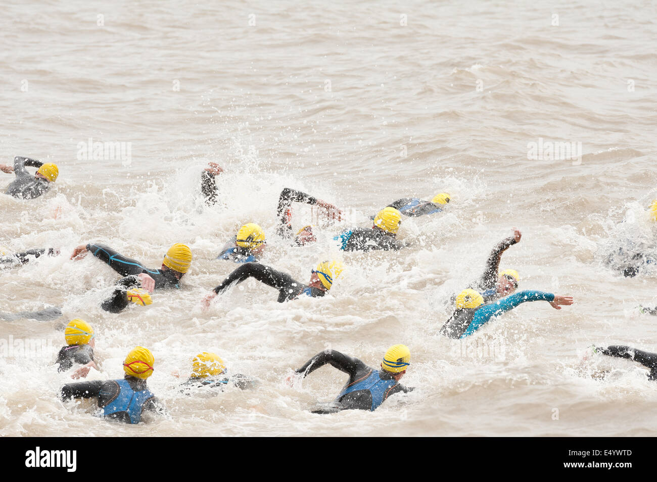 Les concurrents de natation en eau libre le sprint en début d'un triathlon dans le port de mer profonde crawl wetsuits freestyle de début Banque D'Images