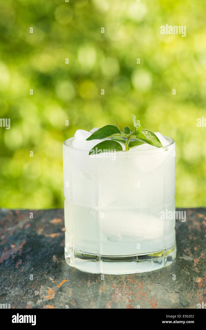 Vue verticale d'une glace rafraîchissante boisson froide en verre, reposant sur l'ardoise, pierre naturelle avec des feuilles de menthe et les arbres d'un vert vif bl Banque D'Images