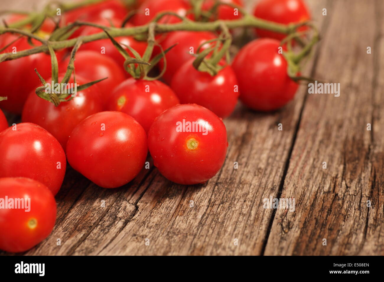 Bouquet de tomates cerise sur la vigne Banque D'Images