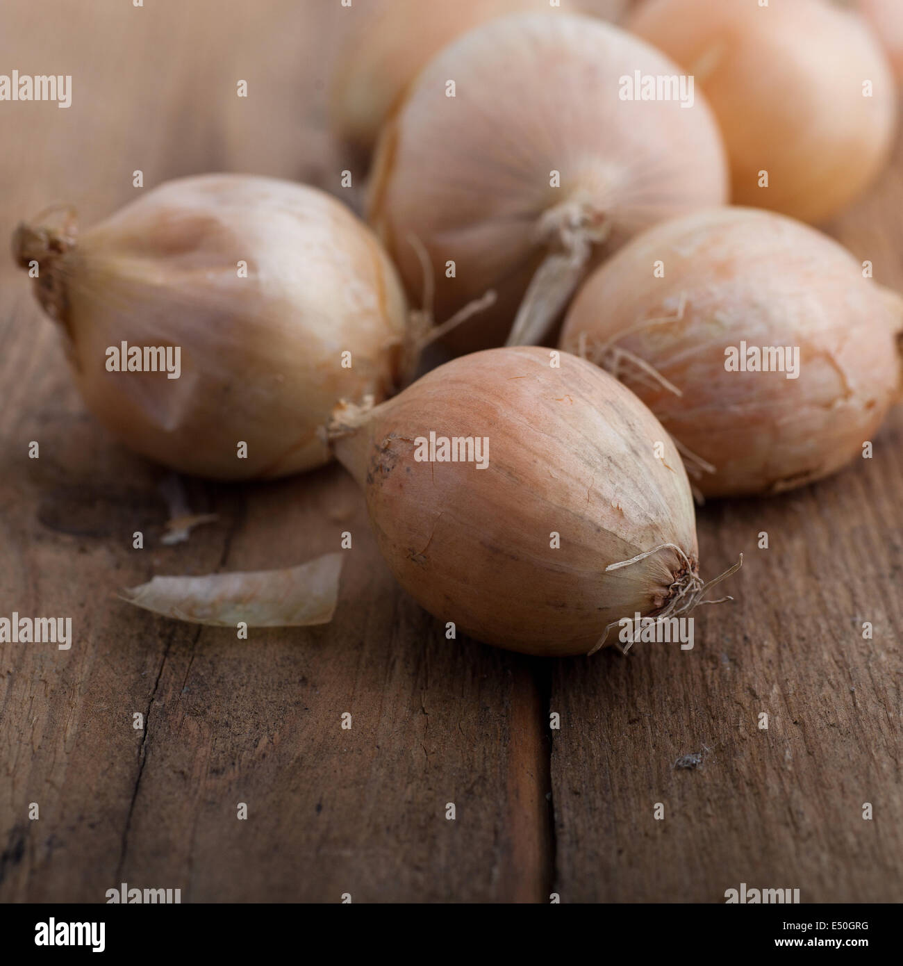 Oignons frais de la ferme Banque D'Images