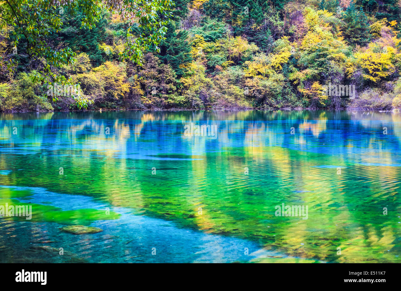 Le lac pittoresque dans la vallée de Jiuzhaigou Banque D'Images