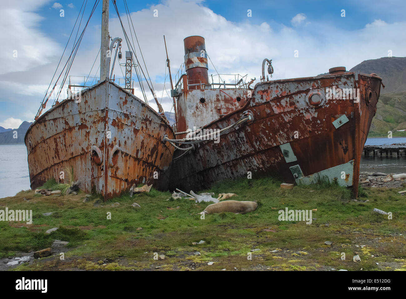 Base de baleiniers Grytviken, Géorgie du Sud Banque D'Images