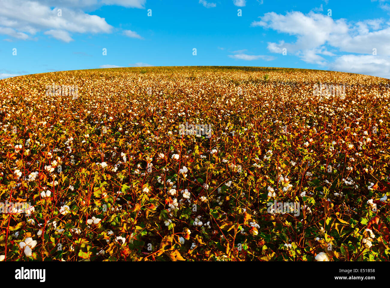 Horizon Banque D'Images