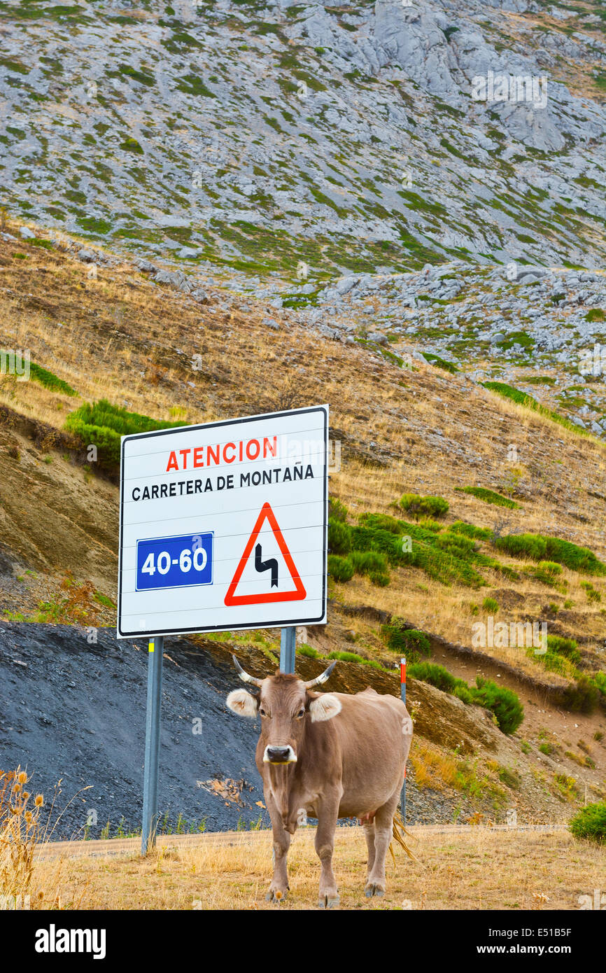 Panneau de signalisation Banque D'Images