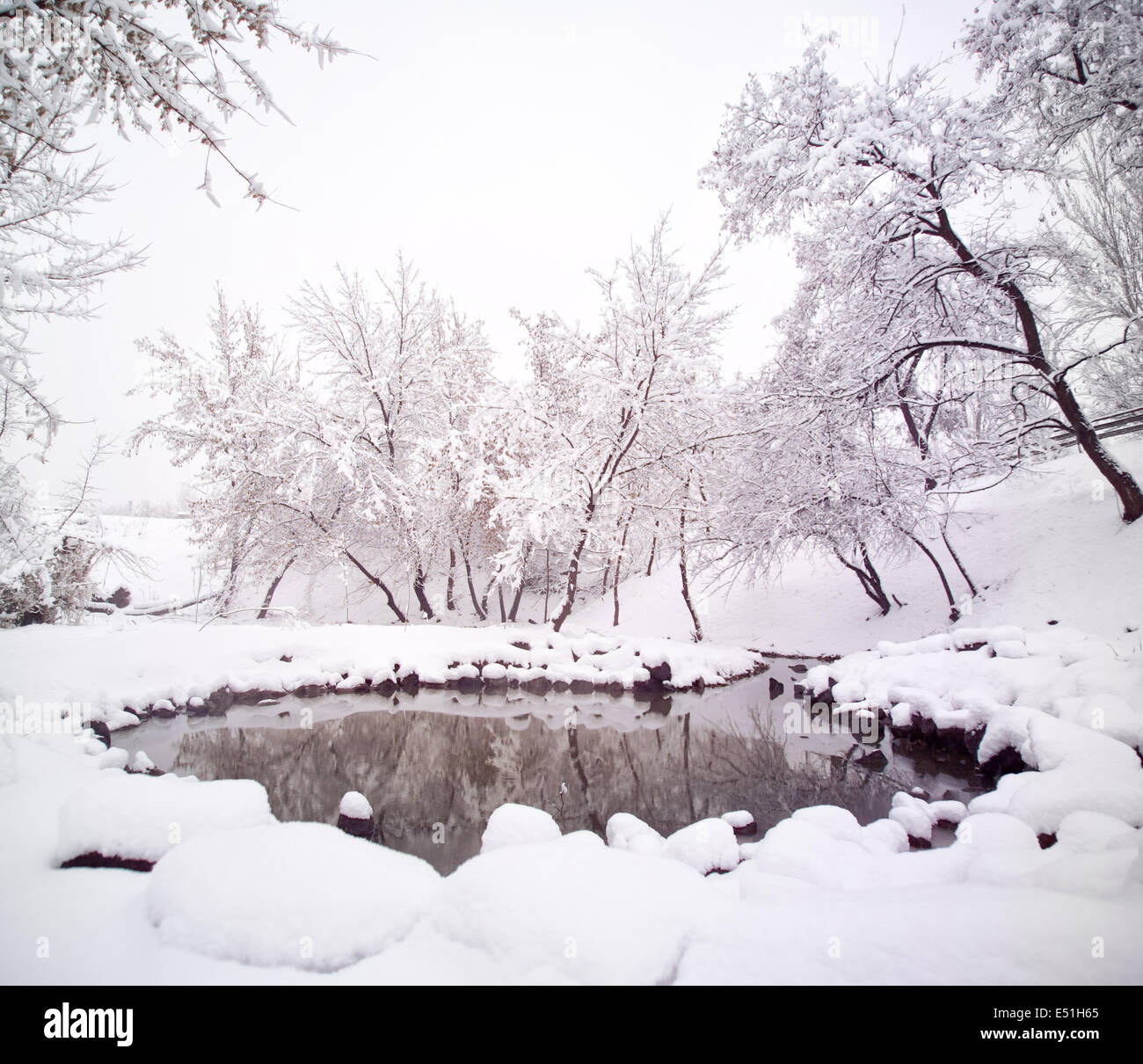 Rive avec des arbres couverts de neige Banque D'Images