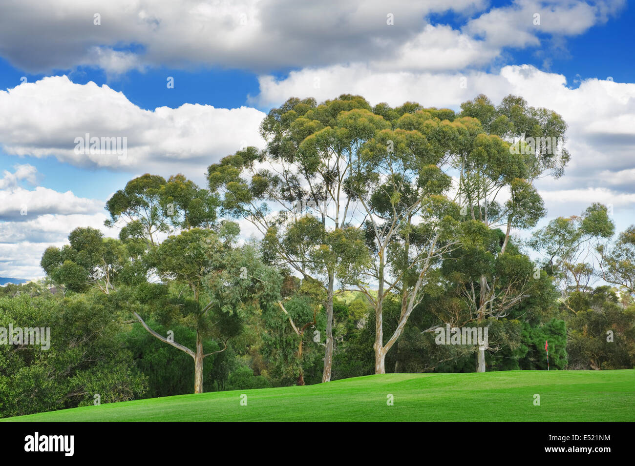 Magnifique parcours de golf Banque D'Images