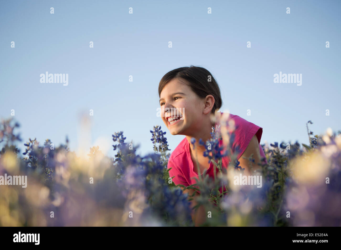 Une jeune fille assise dans un champ de hautes herbes et fleurs sauvages bleues. Banque D'Images