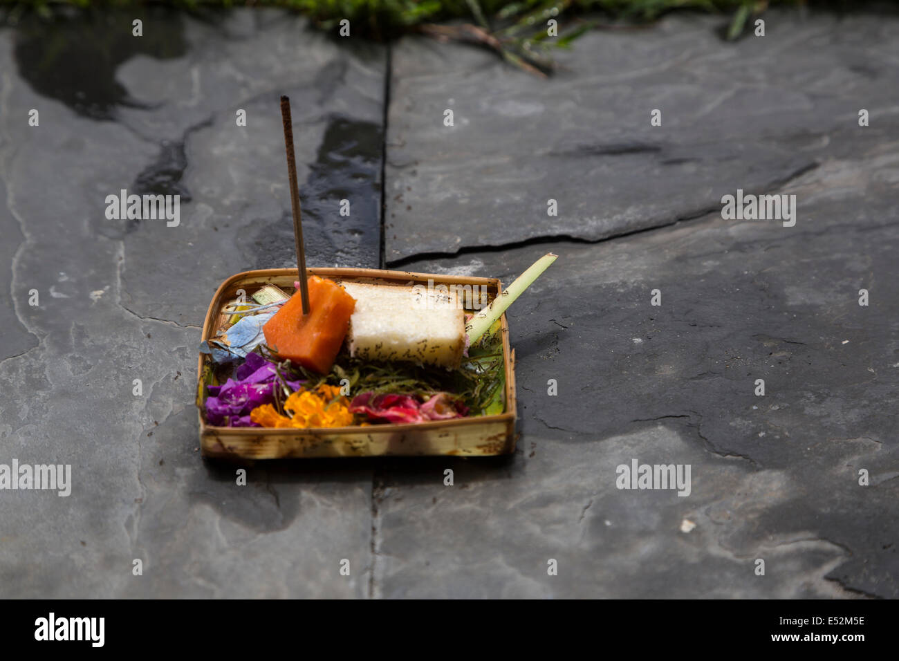 Bali, Indonésie. Une offrande (Canang) de pétales de fleurs, la papaye, et le pain se trouve sur le bord d'un petit jardin d'une maison locale. Banque D'Images