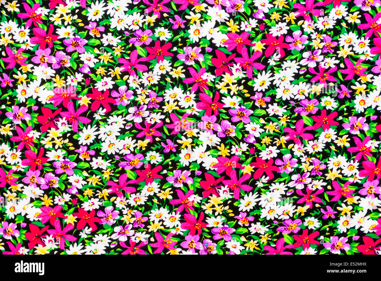 Fleurs Magenta et blanc Texture Background/ Banque D'Images