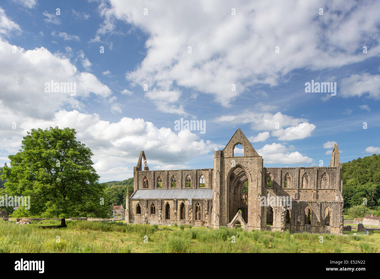 L'abbaye cistercienne de Tintern (Abaty Tyndyrn) dans la vallée de la Wye, Monmouthshire,,Pays de Galles, Royaume-Uni Banque D'Images