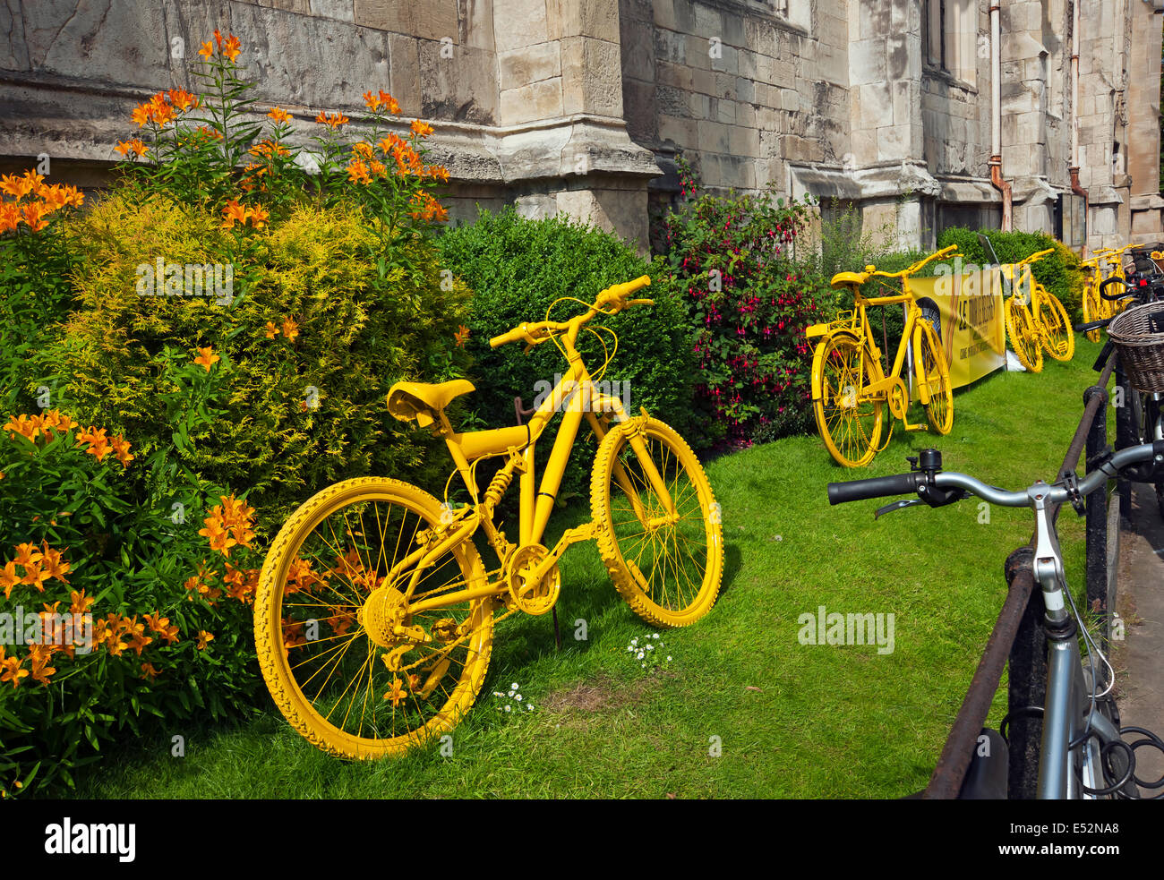 Vélos peint jaune vif York North Yorkshire England UK Royaume-Uni GB Grande Bretagne Banque D'Images