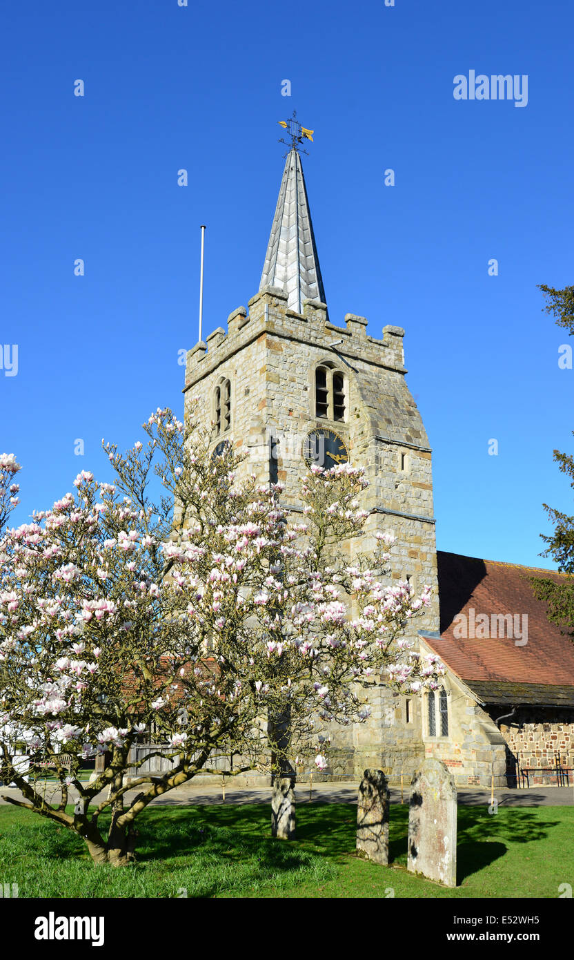 L'église Saint-Laurent, la grande rue, Chobham, Surrey, Angleterre, Royaume-Uni Banque D'Images