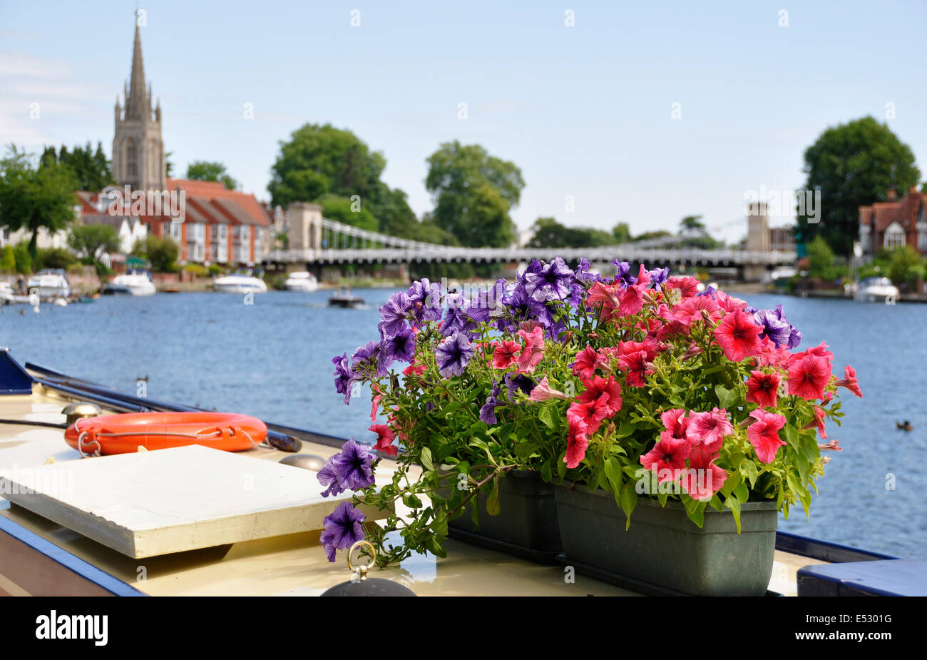 Argent - Marlow - close up - fleurs colorées amarrées pont bateau étroit - soft focus contexte suspension bridge Banque D'Images