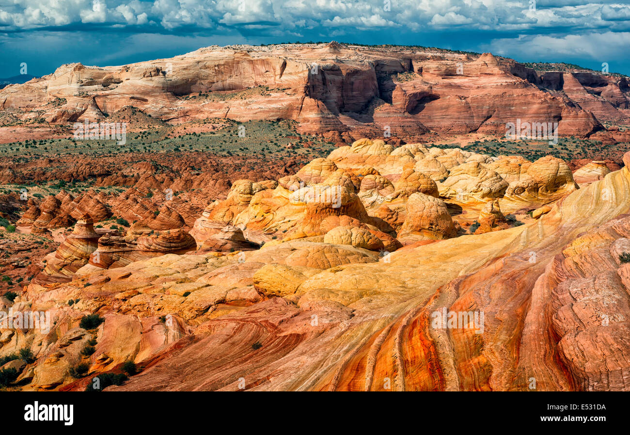 "Fuite des pierres" - Coyote Buttes North Banque D'Images