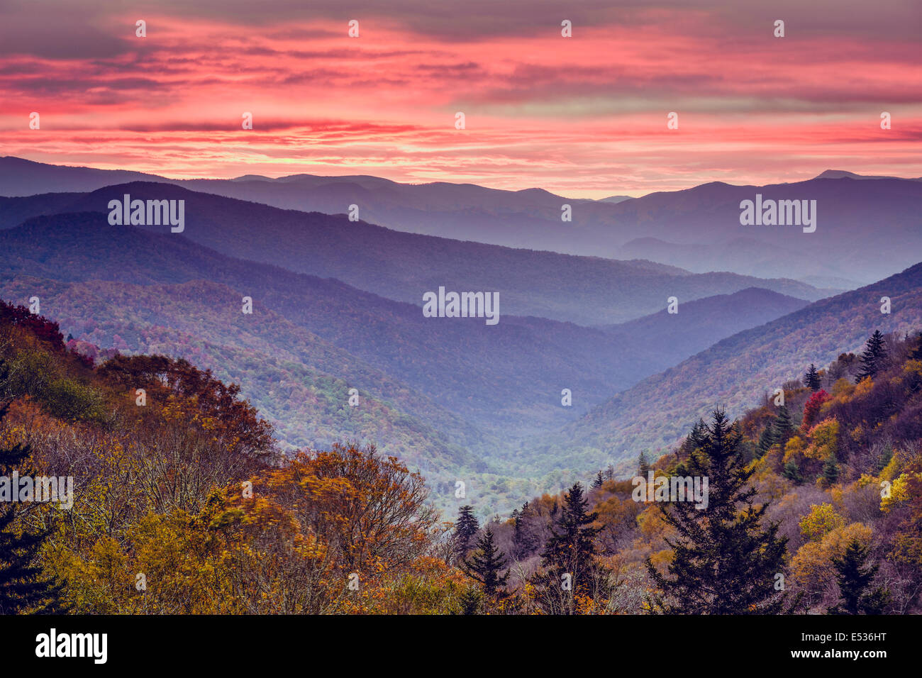 L'aube dans les Smoky Mountains National Park, California, USA. Banque D'Images