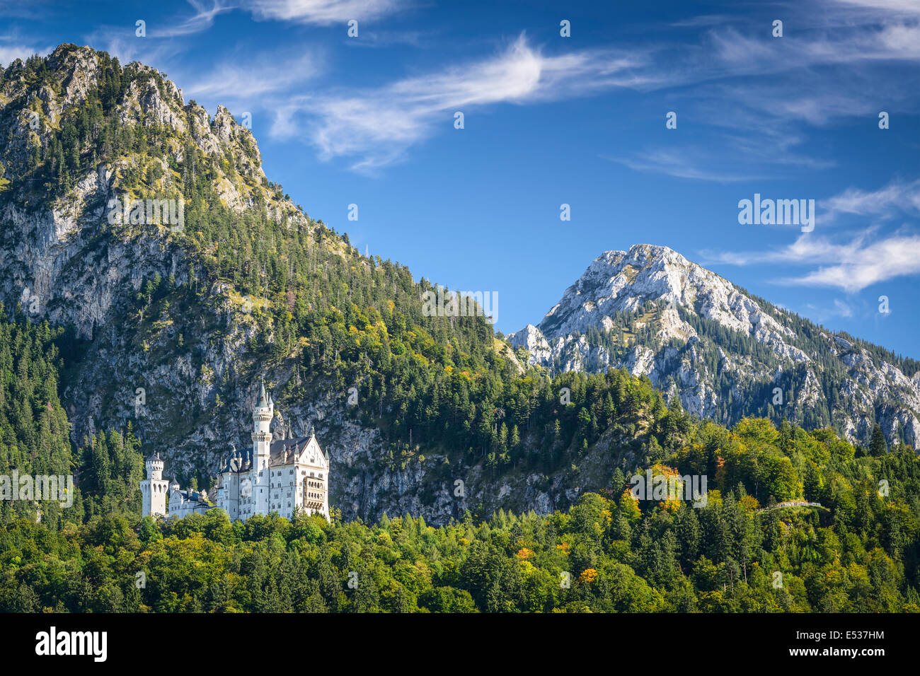 Le château de Neuschwanstein, dans les Alpes bavaroises de l'Allemagne. Banque D'Images