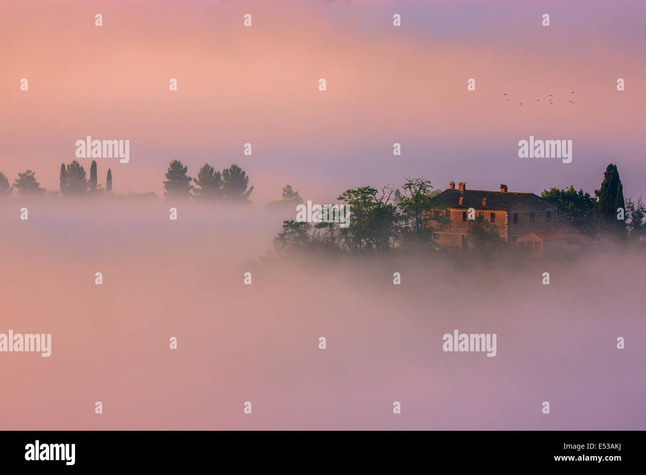 Célèbre Podere Belvedere dans la lumière du matin, au cœur de la Toscane, près de San Quirico in de Val d'Orcia Banque D'Images