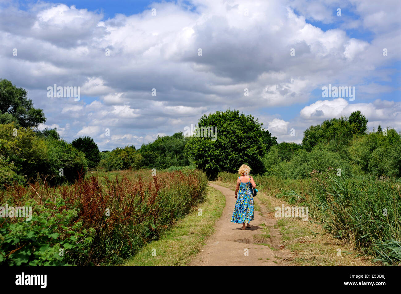 Vues autour du moulin de Flatford domaine qui ont été rendus célèbres par les peintures de John Constable - femme marchant dans le chemin de pays Banque D'Images
