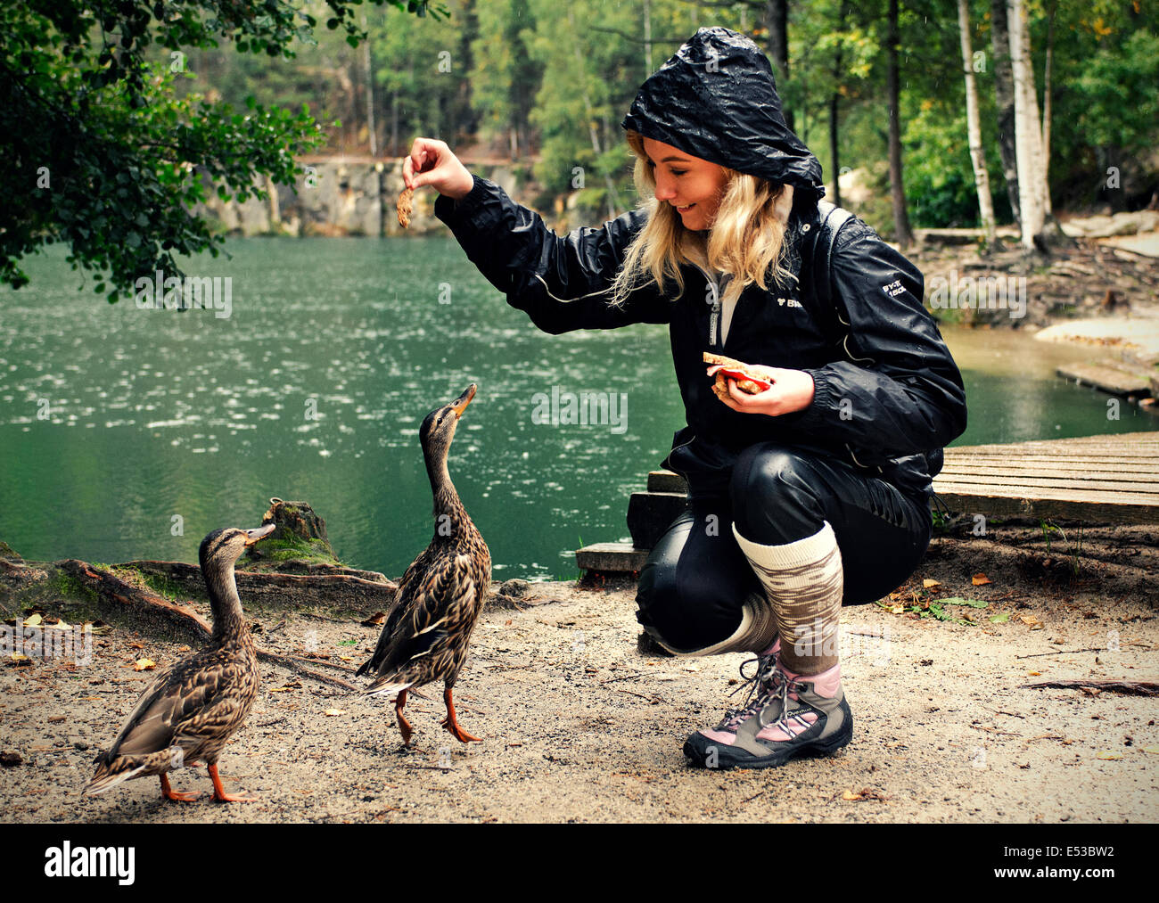 Fille blonde se nourrir les canards colverts Banque D'Images