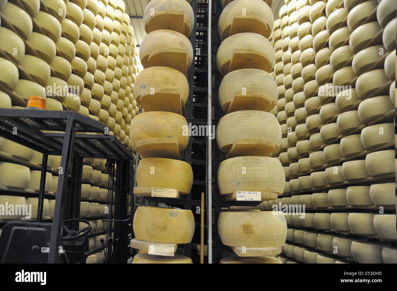 Trescore Cremasco (Cremona, Italie) ; production de Grana Padano DOP fromage typique italien pour la maturation de l'entrepôt ; Banque D'Images