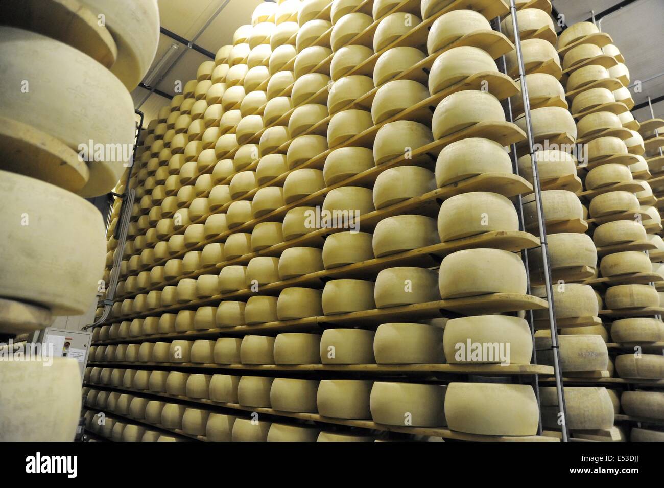 Trescore Cremasco (Cremona, Italie) ; production de Grana Padano DOP fromage typique italien pour la maturation de l'entrepôt ; Banque D'Images