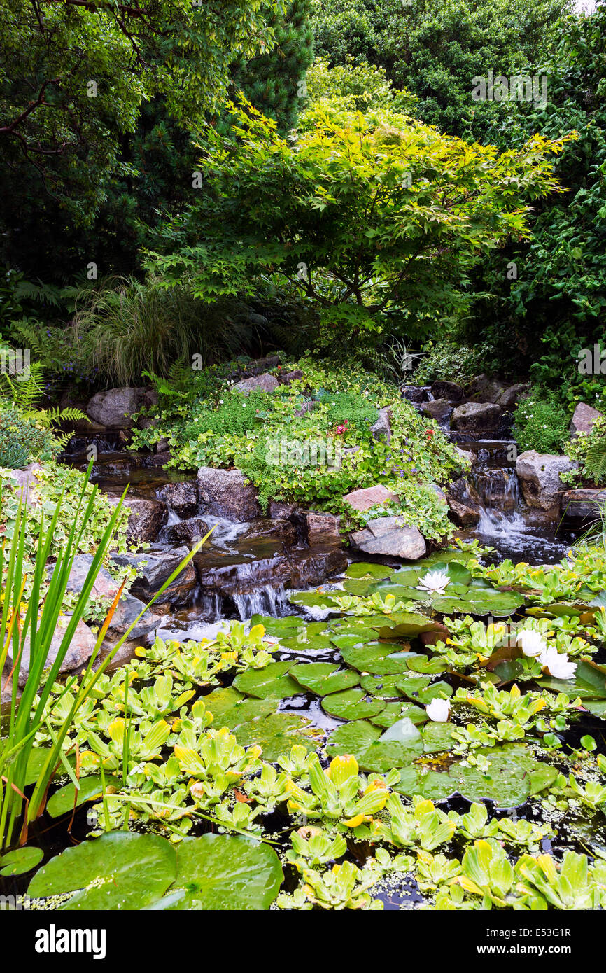 Jardin d'ornement avec cascade sur les rochers et de nénuphar, Pollok Park, Glasgow, Écosse, Royaume-Uni Banque D'Images