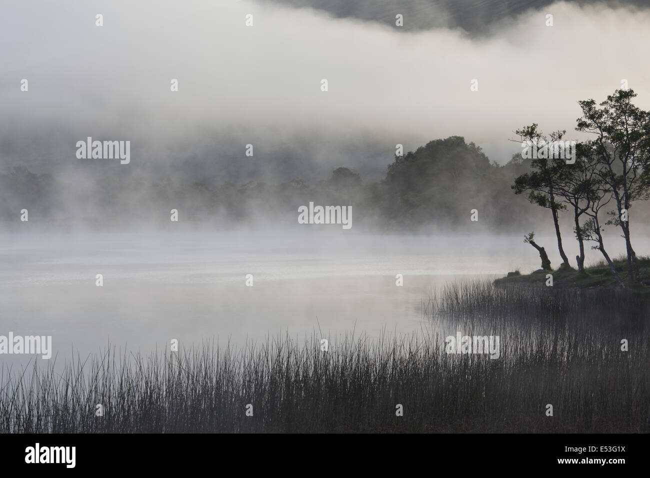 Les brouillards tourbillonnaient à l'aube, la baie de Kilchurn, Loch Awe, Argyll et Bute, Highlands, Scotland, UK Banque D'Images