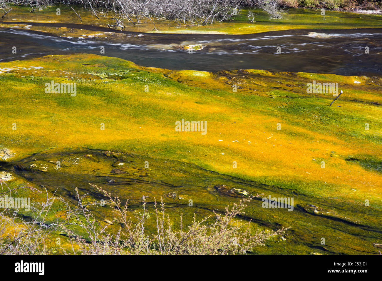 Couleurs étranges dans la rivière de Waimangu Banque D'Images