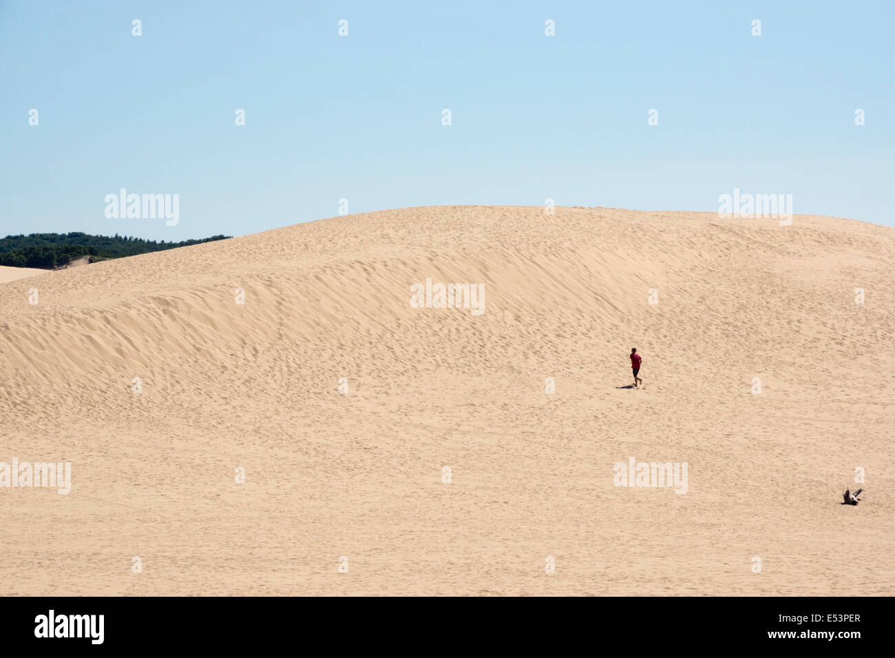 Teenage boy fonctionne sur les dunes de sable à Silver Lake, MI Banque D'Images
