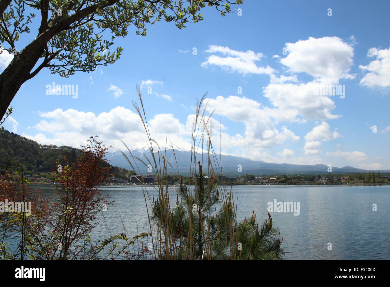 Mt.Fuji au lac Kawaguchi, Yamanashi, Japon Banque D'Images