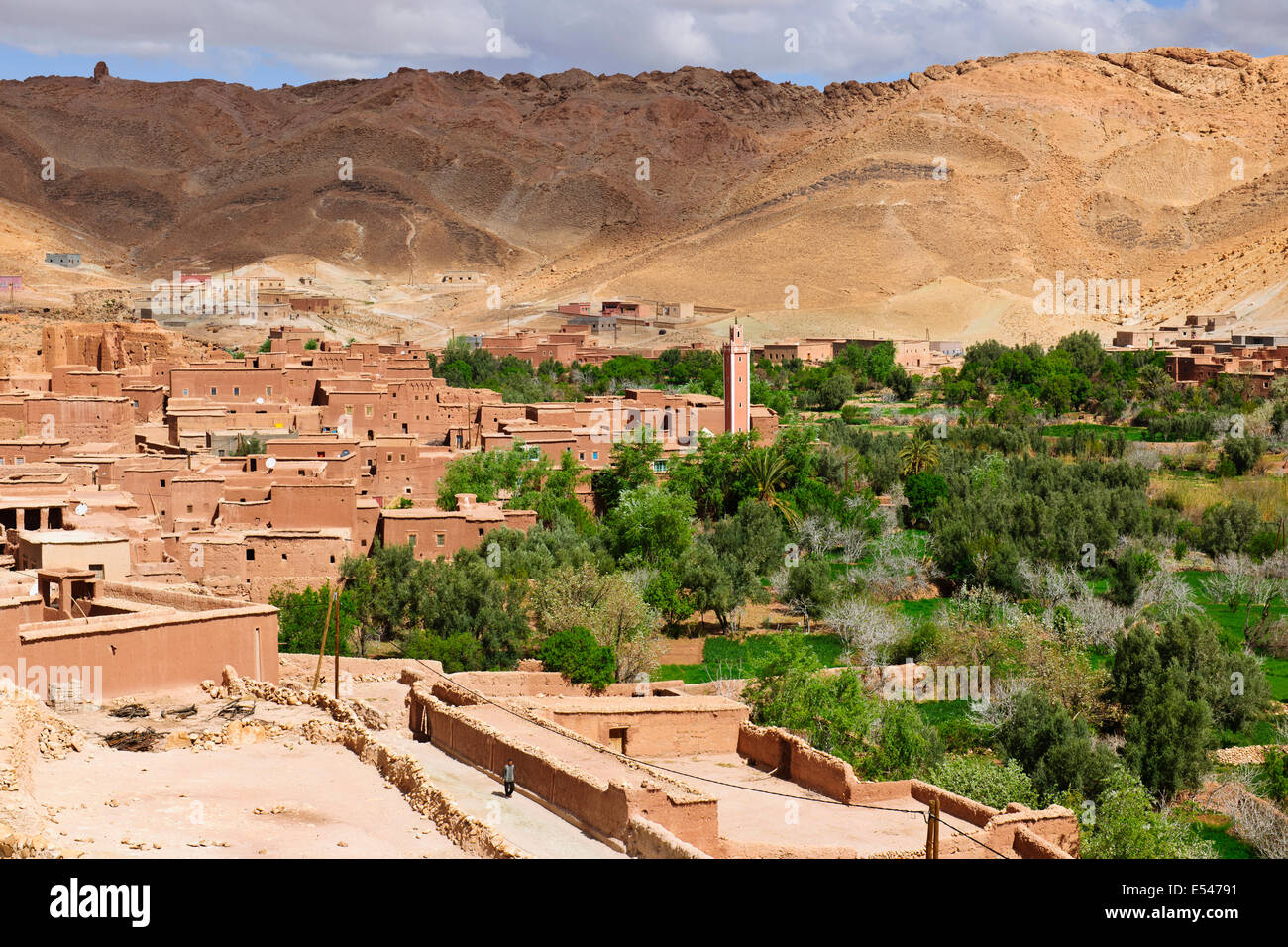 Dadkht Omazia,Village près de ACI ACI Bennhaddou,vallées fertiles vert, l'Agriculture,Noyer,pêchers en fleurs,Maroc Banque D'Images