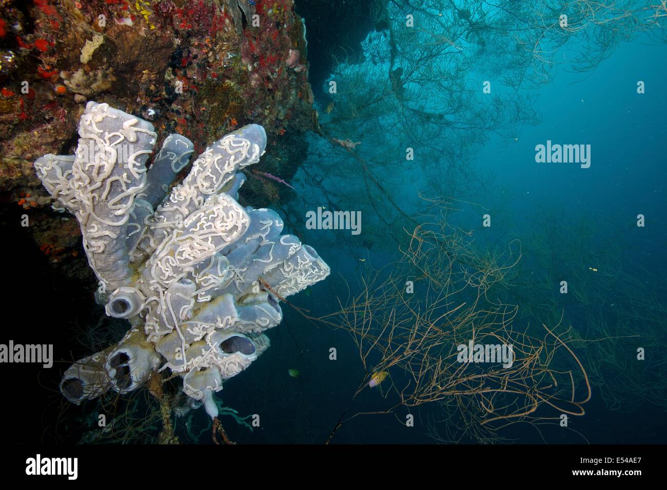 Décor d'un mur plus profond à Napantao sanctuaire dans le sud de Leyte, aux Philippines. Banque D'Images