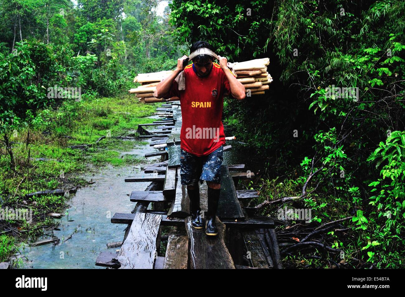 Pont traditionnel en PANGUANA . Département de Loreto .PÉROU Banque D'Images