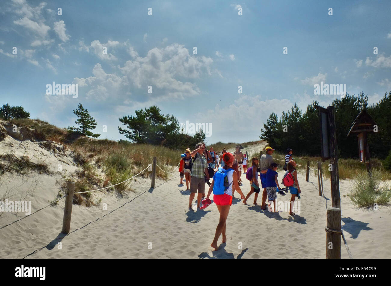 Leba, Pologne. 20, juillet 2014. Déménagement dunes de sable dans le Parc National de Slowinski entre Leba et Gdansk au nord de la Pologne à la côte de la mer Baltique. Comme les vagues et le vent transportent le sable des dunes intérieures déplacer lentement, à une vitesse de 3 à 10 mètres par an. Certaines dunes sont très élevés - jusqu'à 30 mètres. Le déplacement des dunes sont considérés comme une curiosité de la nature à l'échelle européenne. Credit : Michal Fludra/Alamy Live News Banque D'Images