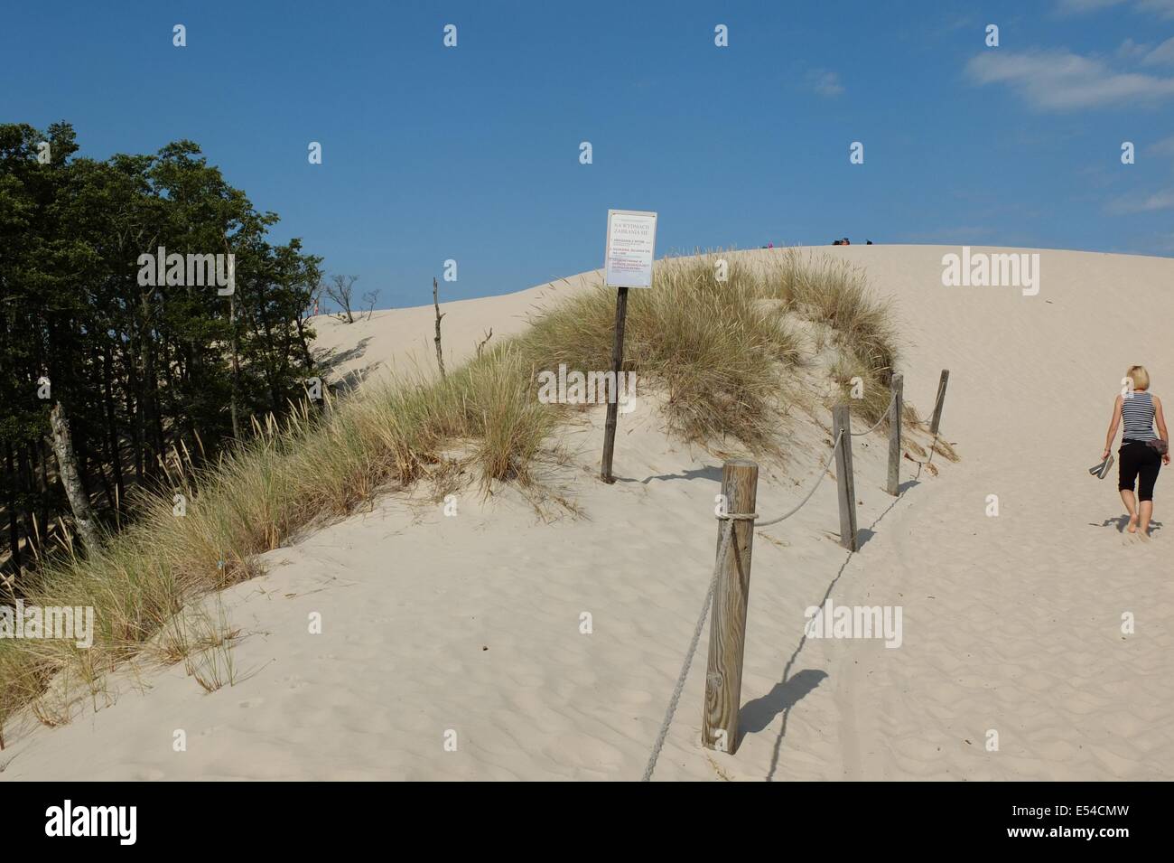 Leba, Pologne. 20, juillet 2014. Déménagement dunes de sable dans le Parc National de Slowinski entre Leba et Gdansk au nord de la Pologne à la côte de la mer Baltique. Comme les vagues et le vent transportent le sable des dunes intérieures déplacer lentement, à une vitesse de 3 à 10 mètres par an. Certaines dunes sont très élevés - jusqu'à 30 mètres. Le déplacement des dunes sont considérés comme une curiosité de la nature à l'échelle européenne. Credit : Michal Fludra/Alamy Live News Banque D'Images