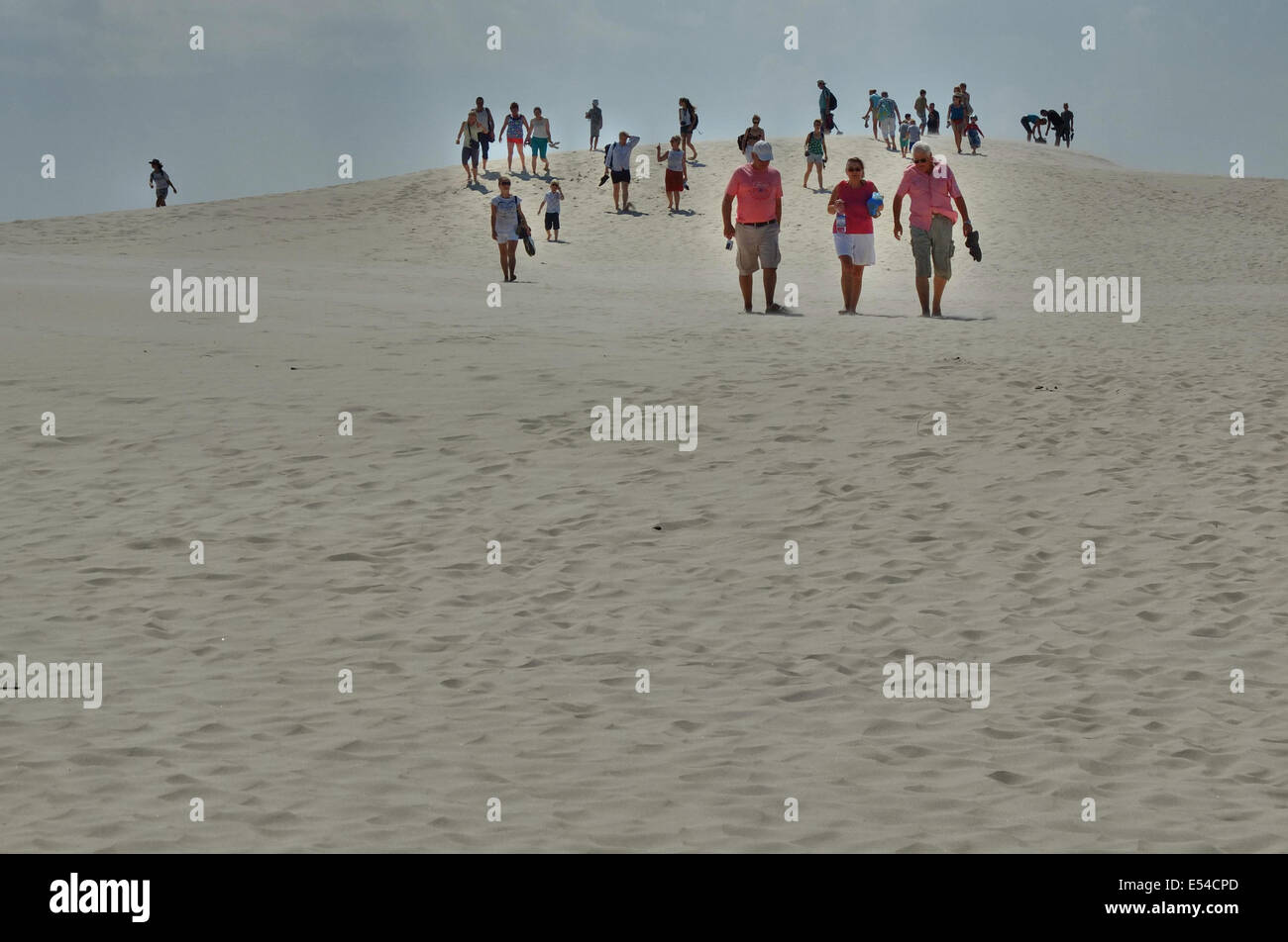 Leba, Pologne. 20, juillet 2014. Déménagement dunes de sable dans le Parc National de Slowinski entre Leba et Gdansk au nord de la Pologne à la côte de la mer Baltique. Comme les vagues et le vent transportent le sable des dunes intérieures déplacer lentement, à une vitesse de 3 à 10 mètres par an. Certaines dunes sont très élevés - jusqu'à 30 mètres. Le déplacement des dunes sont considérés comme une curiosité de la nature à l'échelle européenne. Credit : Michal Fludra/Alamy Live News Banque D'Images