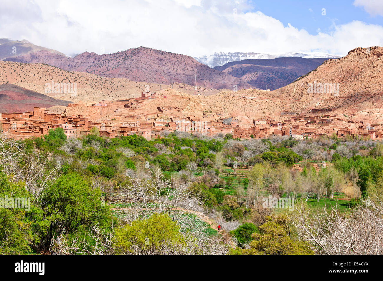 Kasbah anemiter, Asif ounila,près de aci bennhaddou,vallées fertiles vert, l'agriculture,noyer,pêchers en fleurs,Maroc Banque D'Images