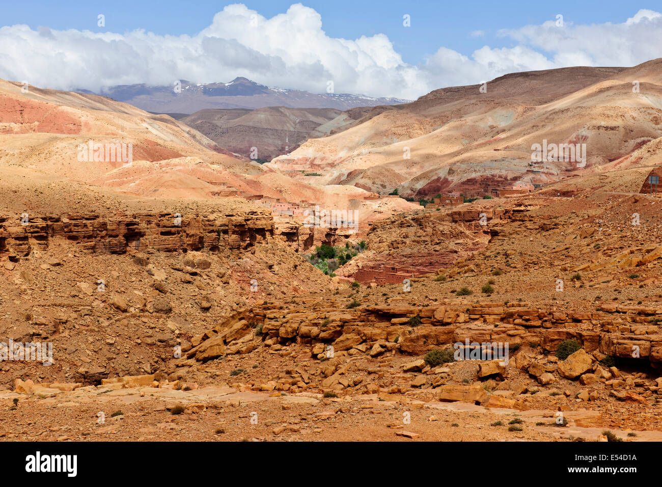 Kasbah anemiter, Asif ounila,près de aci bennhaddou,vallées fertiles vert, l'agriculture,noyer,pêchers en fleurs,Maroc Banque D'Images